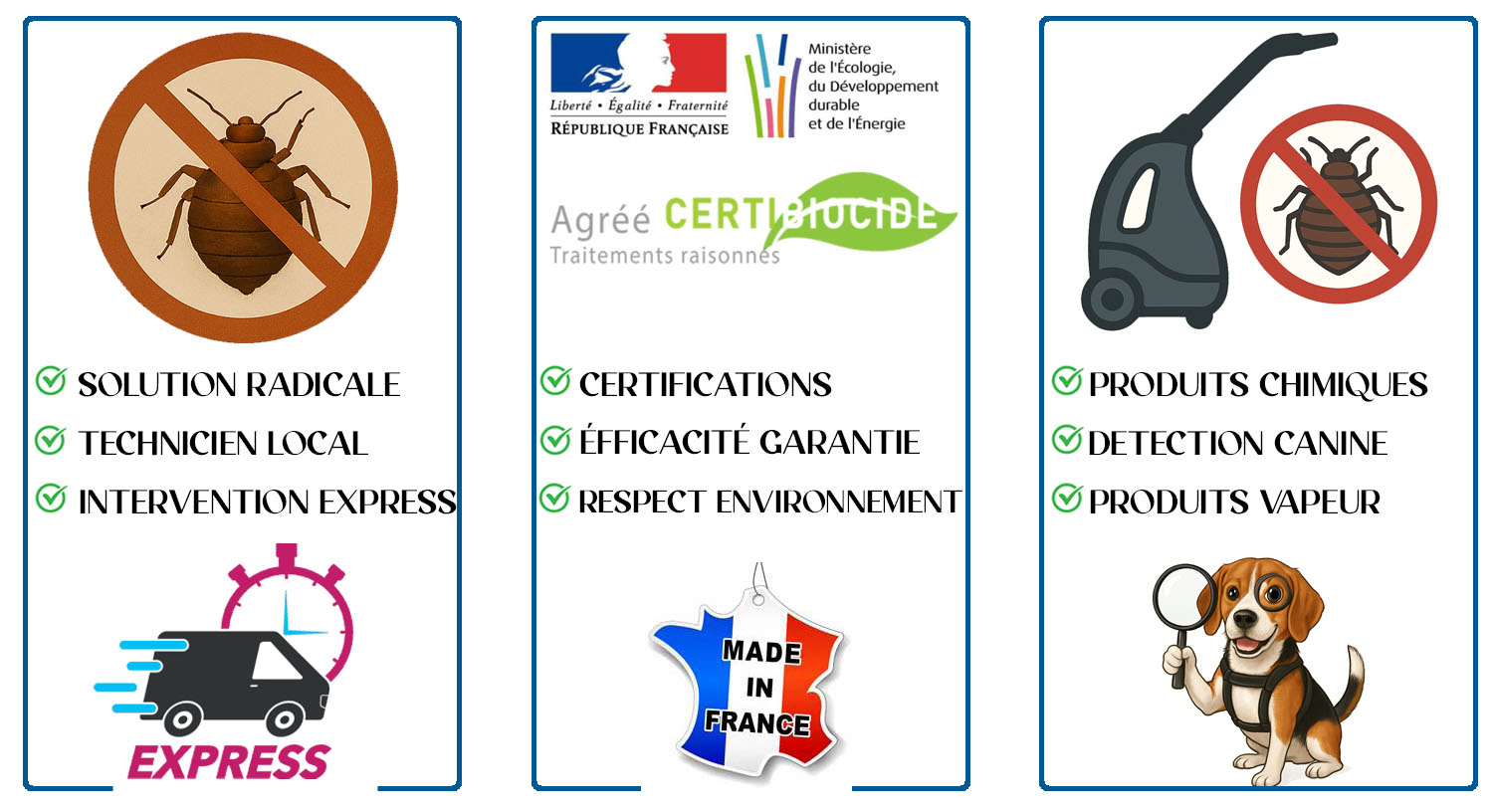 Punaises de Lit Villeneuve Saint Georges